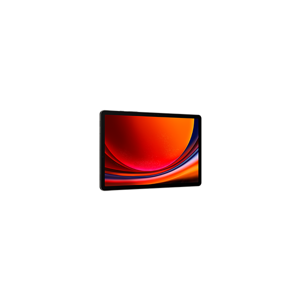 Tablet Samsung S9 11" 12gb 256gb Grafito (smx716bzaeeu